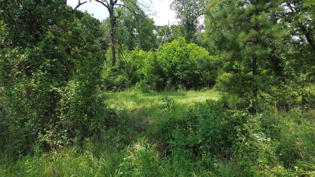 TBD County Road 4030, Crockett, TX 75835