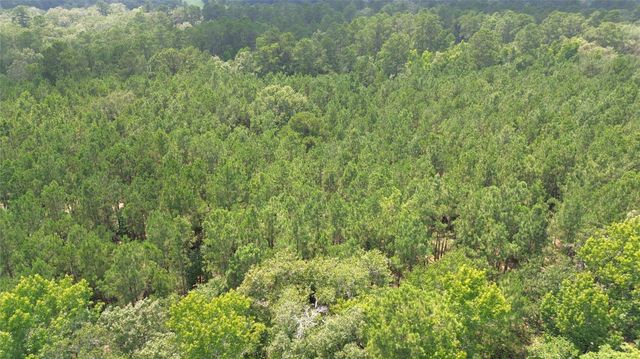 TBD County Road 4030, Crockett, TX 75835