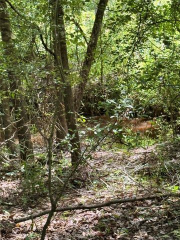 TBD County Road 4030, Crockett, TX 75835