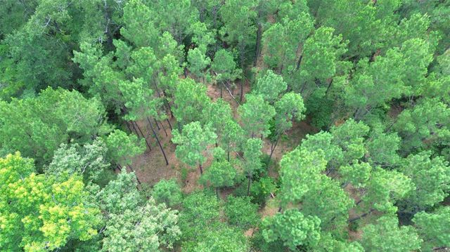 TBD County Road 4030, Crockett, TX 75835