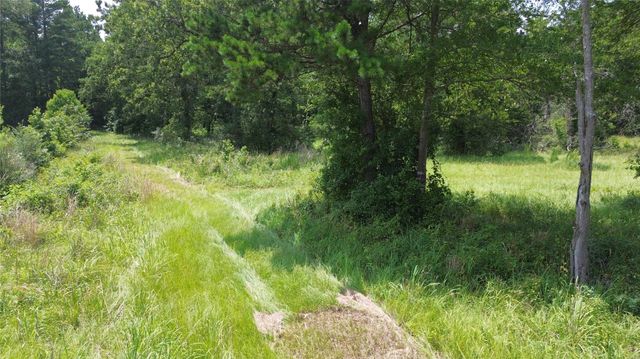 TBD County Road 4030, Crockett, TX 75835