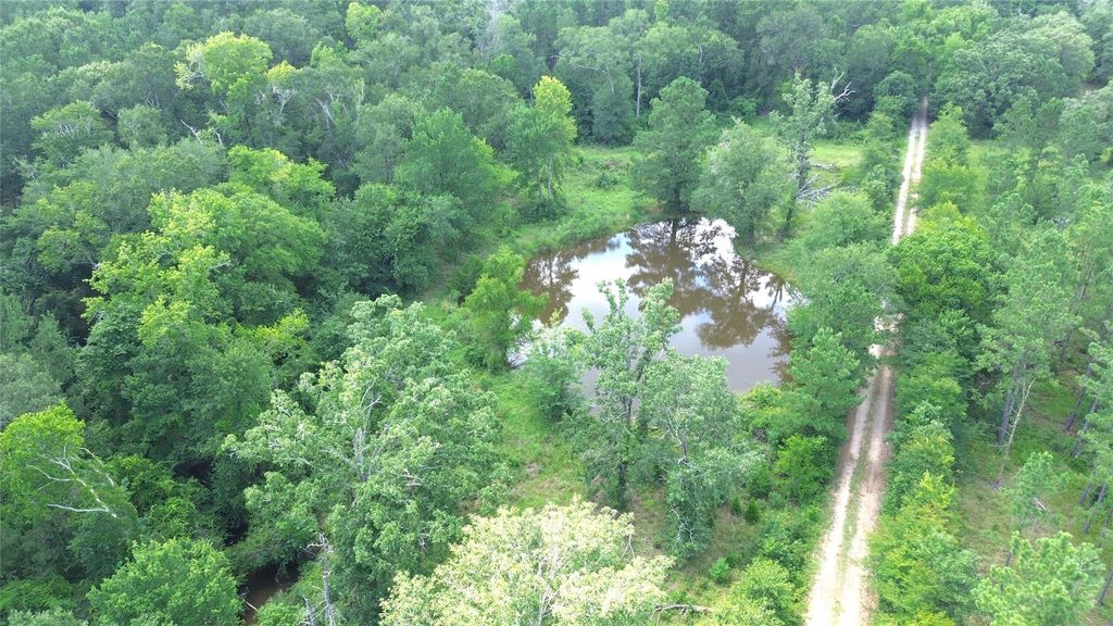 TBD County Road 4030, Crockett, TX 75835