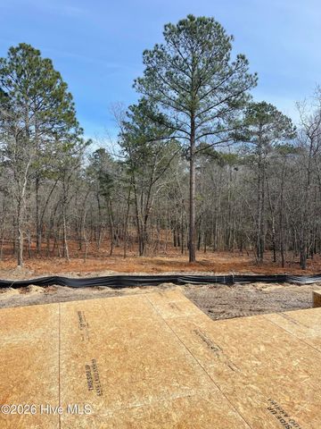 23 Forest Lake Drive, Jackson Springs, NC 27281