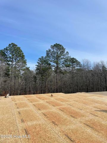 23 Forest Lake Drive, Jackson Springs, NC 27281