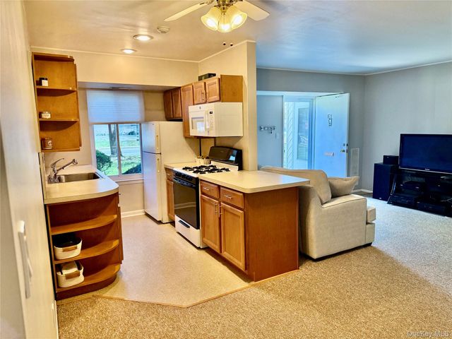 1 El Camino Court 1E, Coram, NY 11727