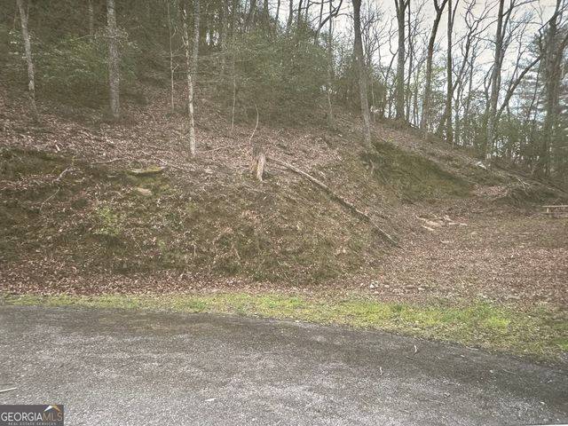 LOT 3 Buckhead Hills, Hiawassee, GA 30546