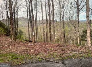 LOT 3 Buckhead Hills, Hiawassee, GA 30546