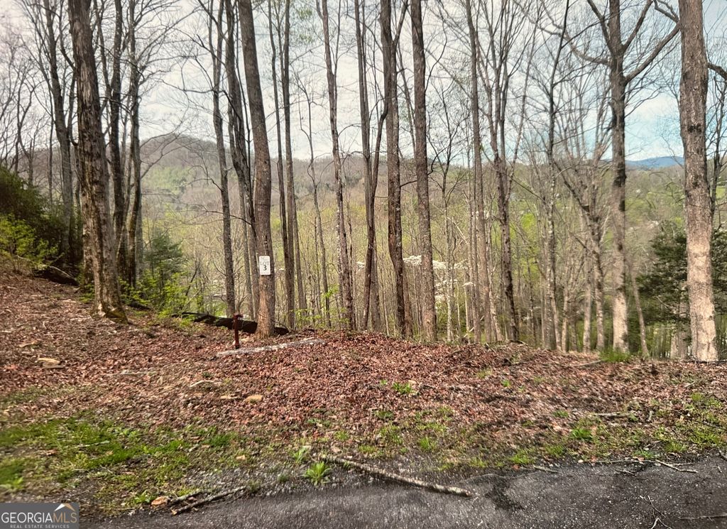 LOT 3 Buckhead Hills, Hiawassee, GA 30546