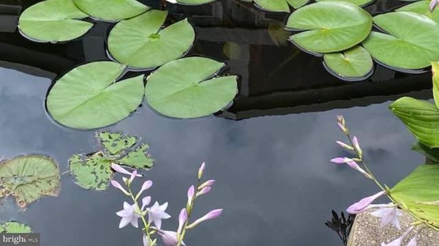 100 BROOKFIELD DR, Dover, DE 19901