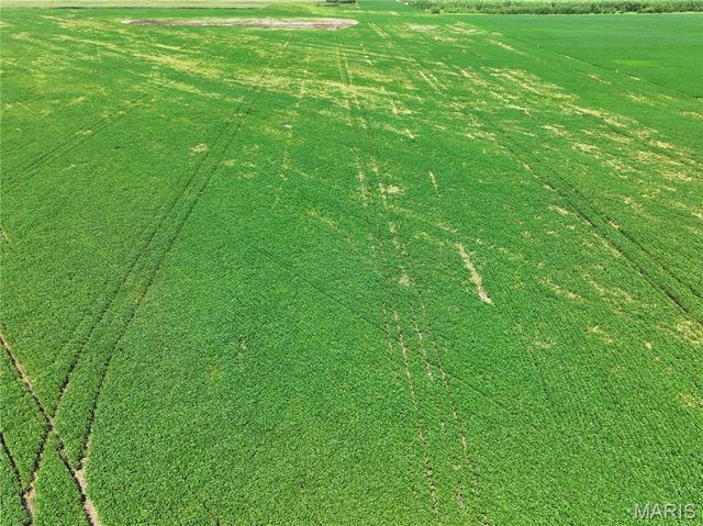 Off County Road 102, Marshall, MO 65344