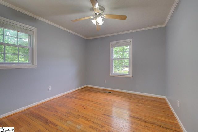 216 Pinefield Drive, Greenville, SC 29605