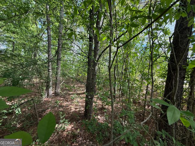 1868 Cedar Grove Road, Conley, GA 30288
