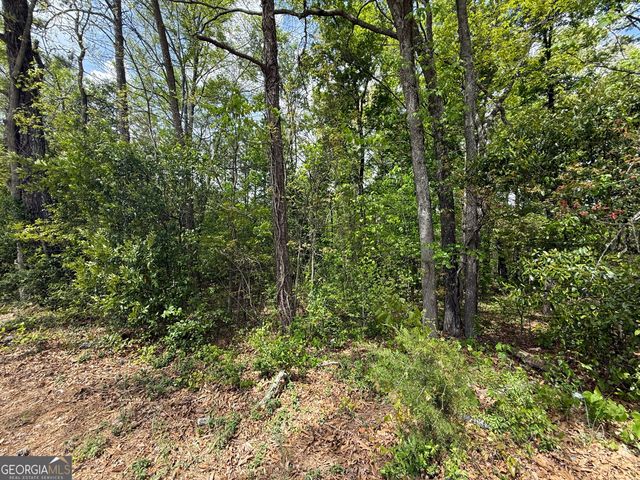 1868 Cedar Grove Road, Conley, GA 30288
