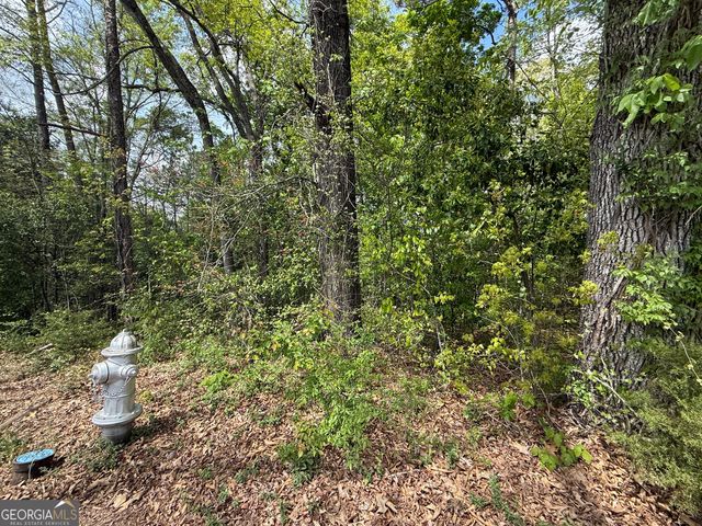 1868 Cedar Grove Road, Conley, GA 30288
