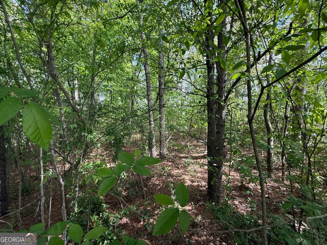 1868 Cedar Grove Road, Conley, GA 30288