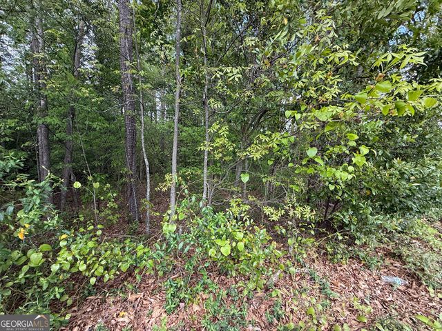 1868 Cedar Grove Road, Conley, GA 30288