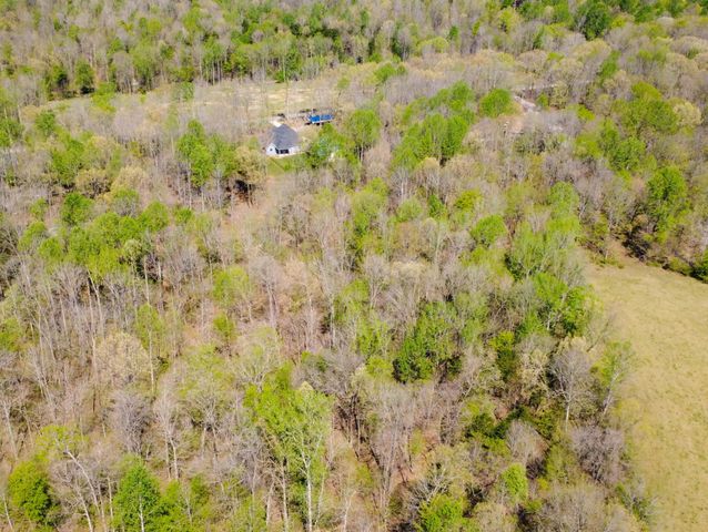573 Swift Ln, Cunningham, TN 37052
