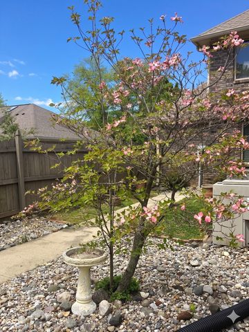 10304 Fallen Oak Drive, Indianapolis, IN 46239