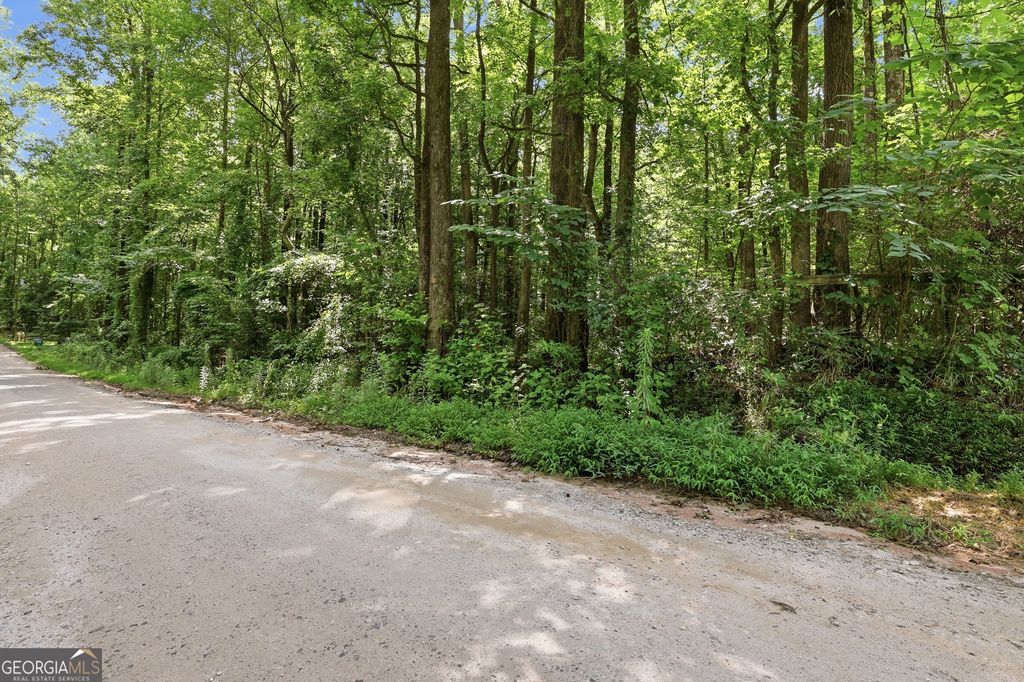 0 Lord Road, Commerce, GA 30530 — photo 4