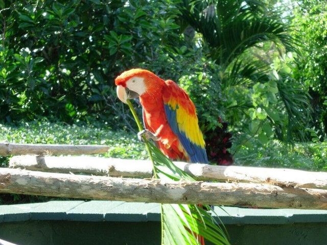 5540 N Ocean Drive 15-B, Singer Island, FL 33404