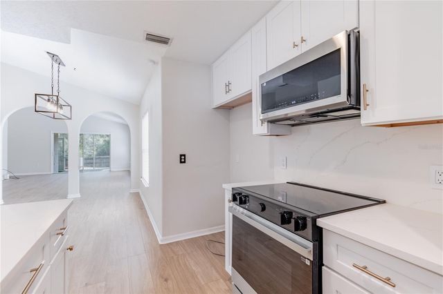 31080 LOCHMORE CIRCLE, Sorrento, FL 32776