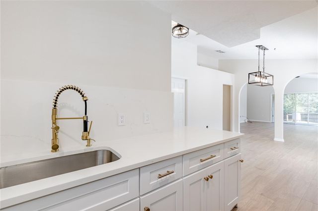31080 LOCHMORE CIRCLE, Sorrento, FL 32776