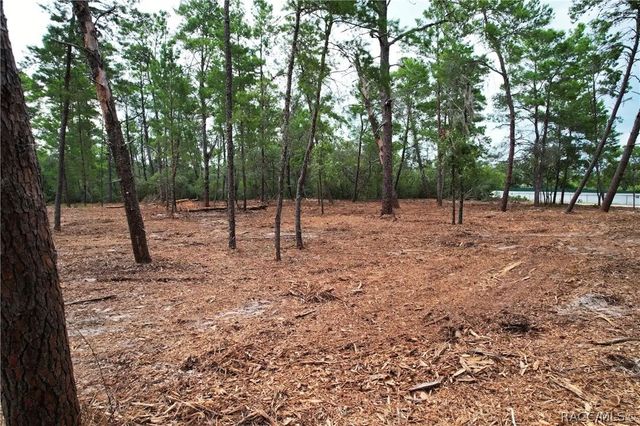 9530 N Timber Creek Terrace, Dunnellon, FL 34433
