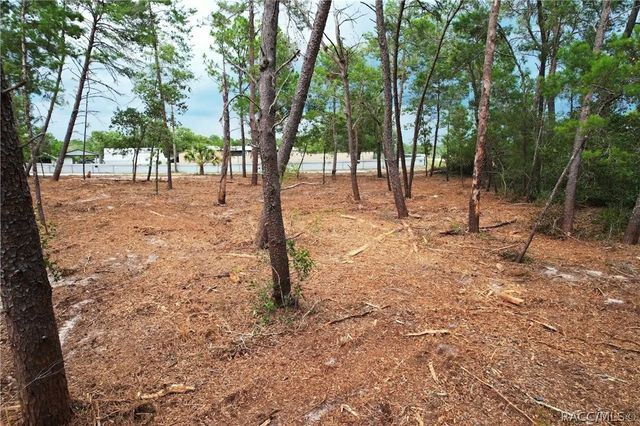 9530 N Timber Creek Terrace, Dunnellon, FL 34433
