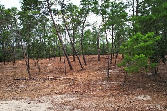9530 N Timber Creek Terrace, Dunnellon, FL 34433