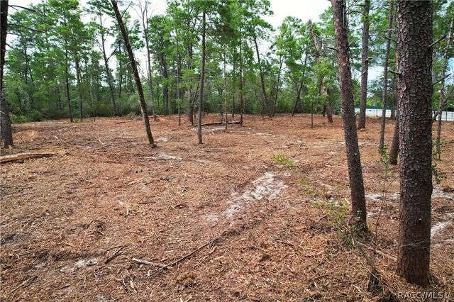9530 N Timber Creek Terrace, Dunnellon, FL 34433