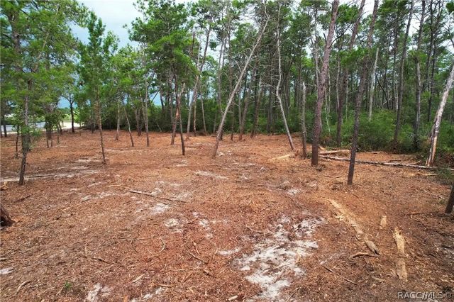 9530 N Timber Creek Terrace, Dunnellon, FL 34433
