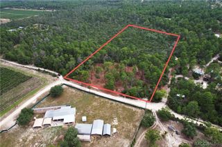 9530 N Timber Creek Terrace, Dunnellon, FL 34433