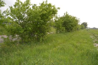 TBD Lot 4&5 RS County Road 1520, Point, TX 75472