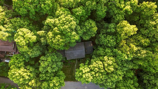 1105 Havenwood Drive, Signal Mountain, TN 37377