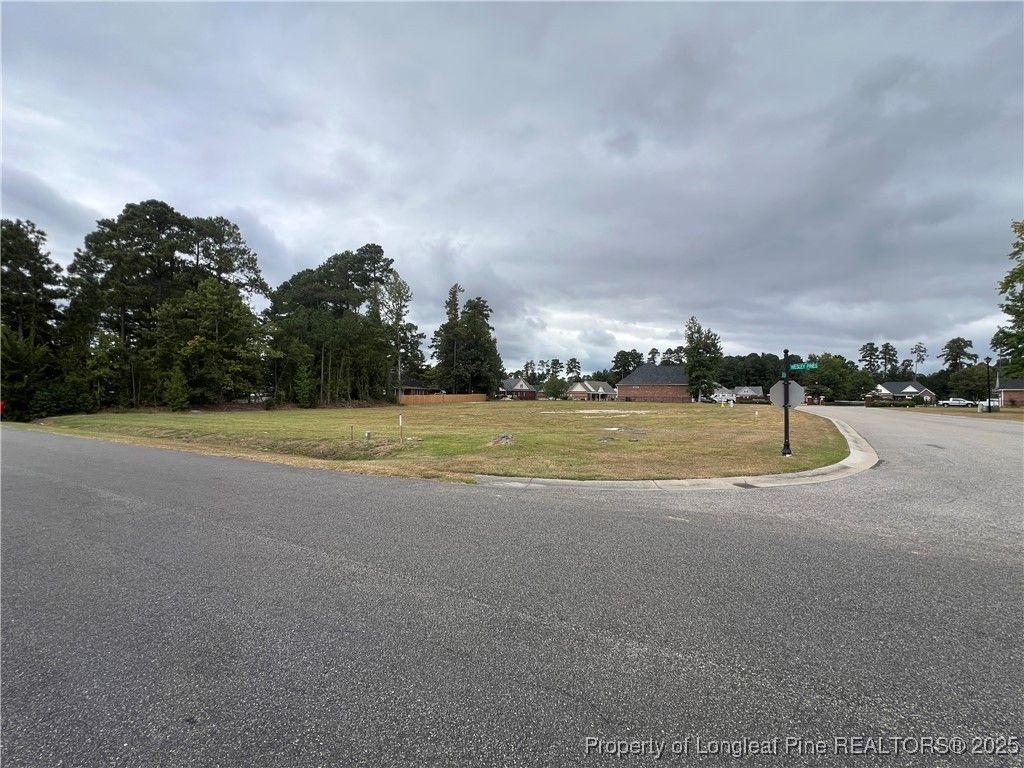 Wesley Pines Road, Lumberton, NC 28358 — photo 2