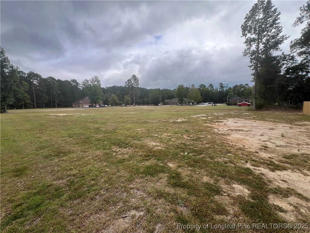 Wesley Pines Road, Lumberton, NC 28358 — photo 3