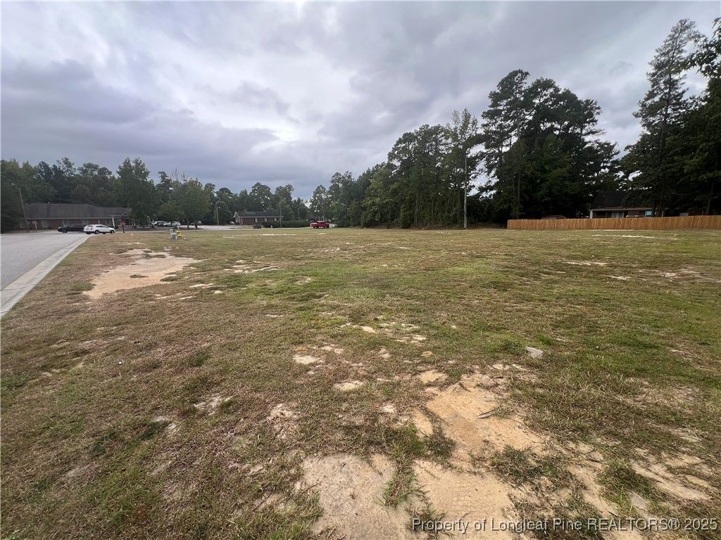 Wesley Pines Road, Lumberton, NC 28358 — photo 4