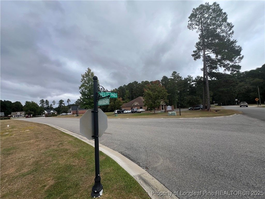 Wesley Pines Road, Lumberton, NC 28358 — photo 6