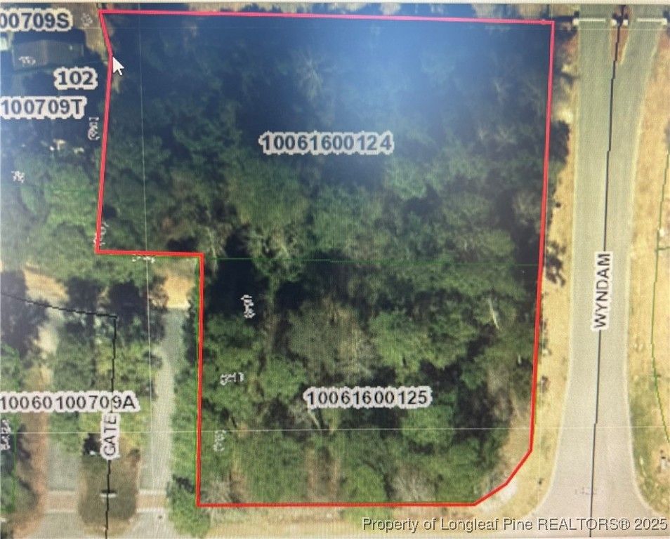 Wesley Pines Road, Lumberton, NC 28358 — photo 7