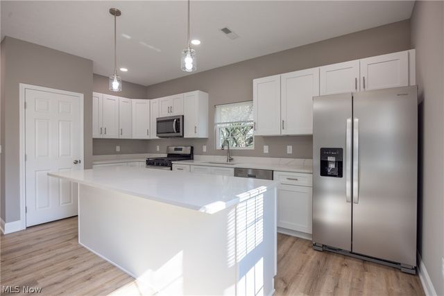1738 E 298th Street, Wickliffe, OH 44092