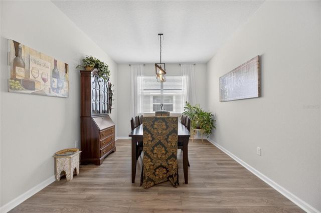 11633 CAMBIUM CROWN DRIVE, Riverview, FL 33569