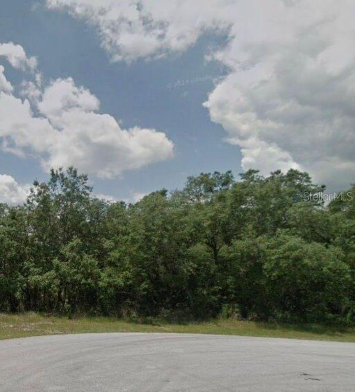 204 KINGFISH WAY, Poinciana, FL 34759