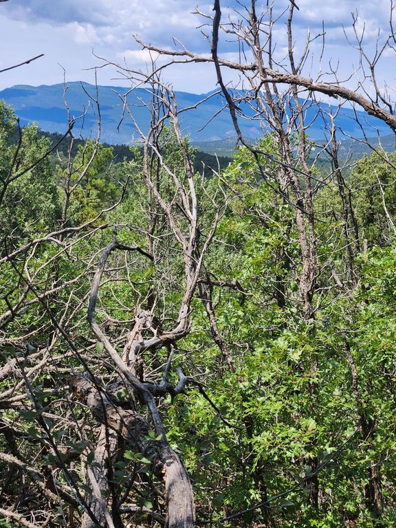 5 SPEIS Road, Tijeras, NM 87059