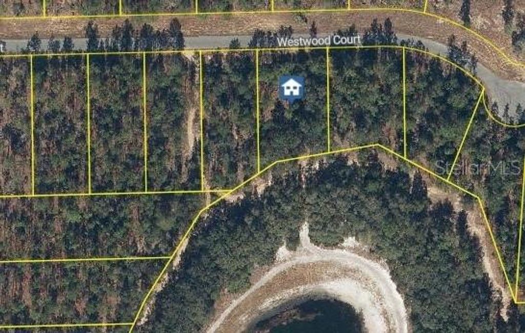 115 WESTWOOD COURT, Interlachen, FL 32148