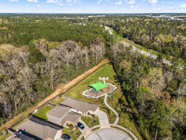 2927 August Mist Court, Conroe, TX 77304