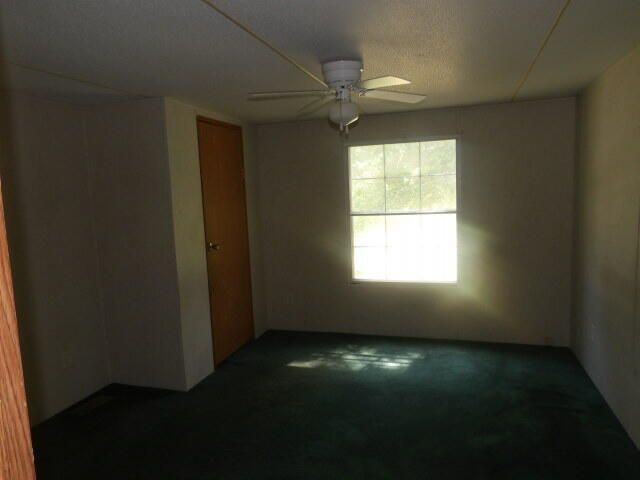 2815 Easler Highway, Greeleyville, SC 29056