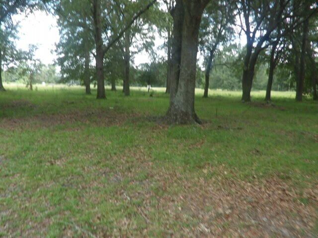 2815 Easler Highway, Greeleyville, SC 29056