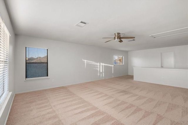 1179 Forest Bluff TRL, Round Rock, TX 78665