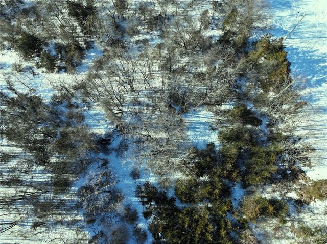 Bells Pond Road, Hudson, NY 12541