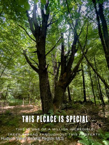 410 Middle Grove Road, Middle Grove, NY 12850